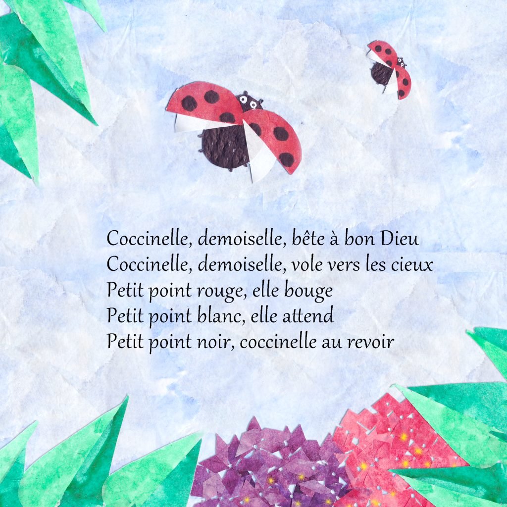 Coccinelle, demoiselle …