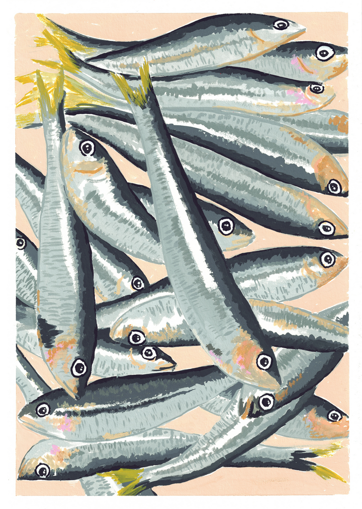 Sardines