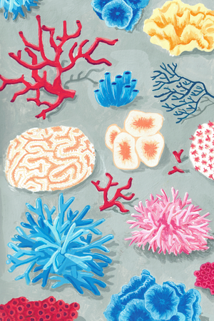 Carte postale Coraux