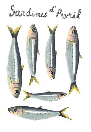 1-Sardines d'Avril - Stickers